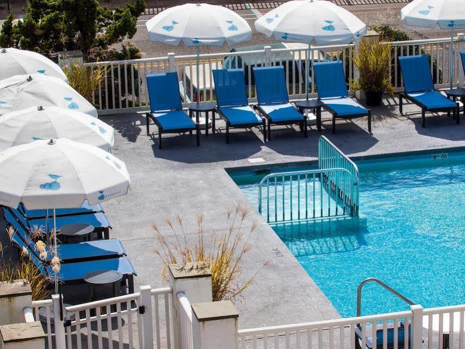 Sandpiper Beach Club Cape May Kültér fotó